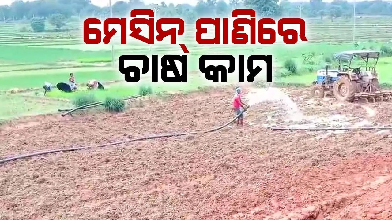  ସ୍ୱଳ୍ପ ବୃଷ୍ଟିପାତ: ଆଗେଇ ପାରୁନି ରୁଆ ଏବଂ ବେଉଷଣ କାମ, ପଡିଆ ପଡିଛି ୩ହଜାର ହେକ୍ଟର ଜମି