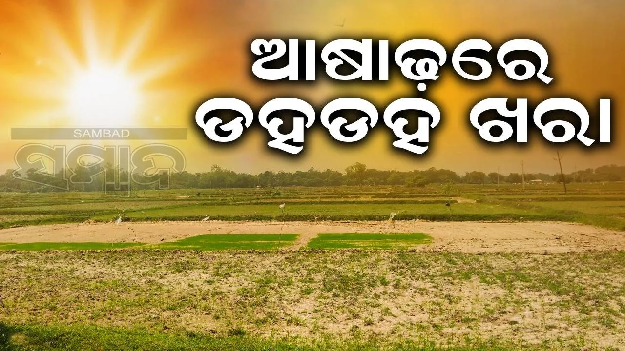  ନିଦ ହଜାଇଛି ନିଅଣ୍ଟିଆ ବର୍ଷା, ଚାଷୀ ଚିନ୍ତାରେ