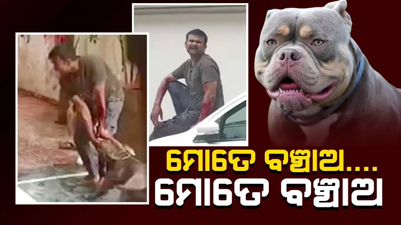  ଡିୟୁଟି କରୁଥିବା ସମୟ‌ରେ କୁକୁର ଆକ୍ରମଣର ଶିକାର ‌ହେଲେ ଡେଲିଭରି ବଏ: ଗୁରୁତର ଅବସ୍ଥାରେ ହସ୍ପିଟାଲରେ ଭର୍ତ୍ତି