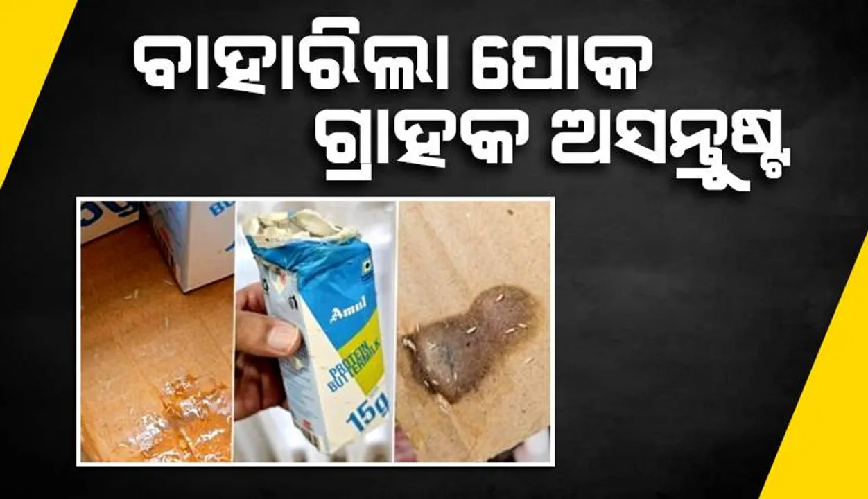  ଅମୁଲ ମୋ ବିଶ୍ବାସକୁ ଭାଙ୍ଗି ଦେଇଛି, ବଟରମିଲକ ପ୍ୟାକେଟ ଭିତରୁ ବାହାରିଲା ସାଲୁବାଲୁ ପୋକ