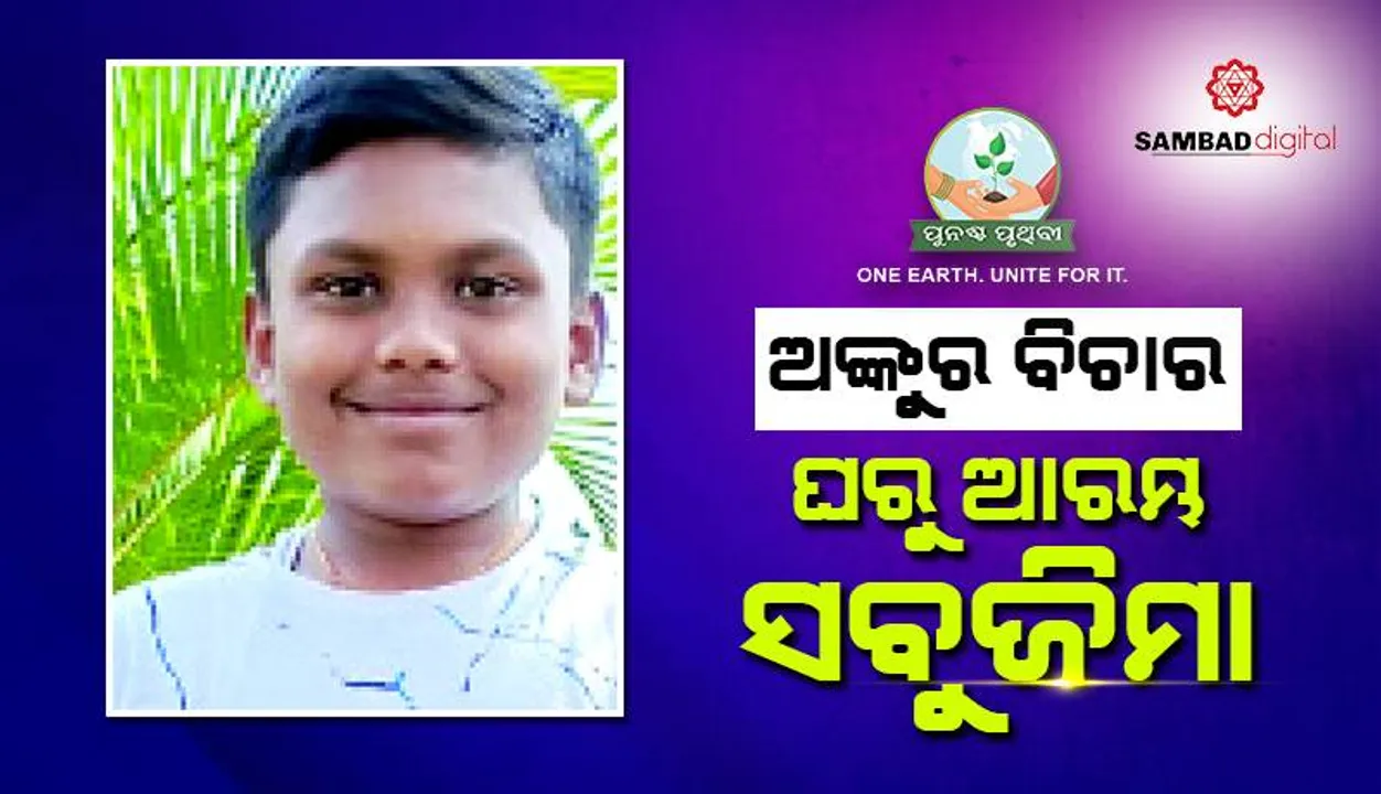  ଅଙ୍କୁର ବିଚାର: ଘରୁ ଆରମ୍ଭ ସବୁଜିମା