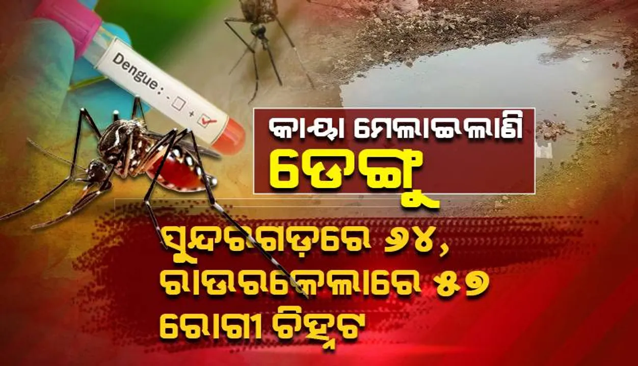  କାୟା ମେଲାଇଲାଣି ଡେଙ୍ଗୁ: ସୁନ୍ଦରଗଡ଼ରେ ୬୪ ରୋଗୀ ଚିହ୍ନଟ,ରାଉରକେଲାରେ ୫୭ ରୋଗୀ