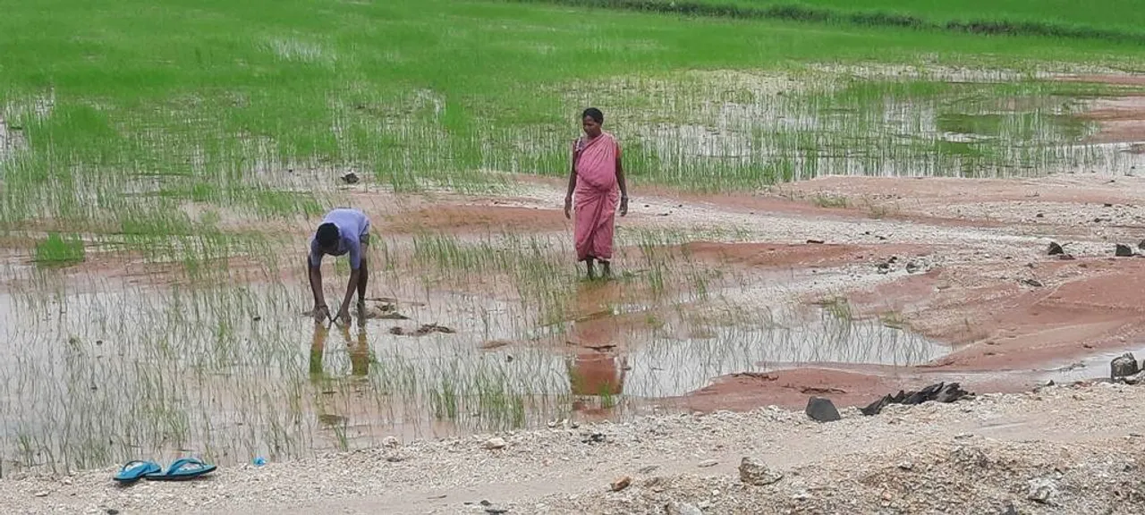  ବର୍ଷାରେ ବେହାଲ ବିମାନବନ୍ଦର: ଝରଣା ଫୁଟି ବିରାଟ ଘାଇ, ଜମିରେ ବାଲି ଚରିଲା