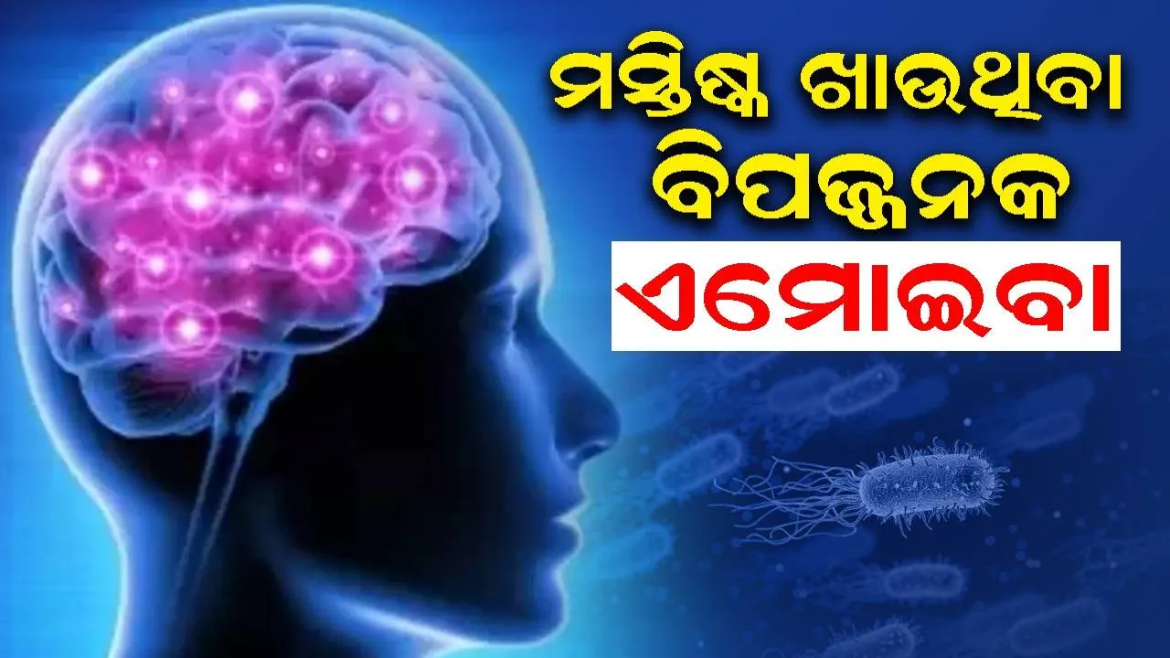  ସାବଧାନ!: ମସ୍ତିଷ୍କ ଖାଉଥିବା ଏମୋଇବା ନାକ ବାଟେ କରୁଛି ପ୍ରବେଶ, ଉପଚାର ପାଇଁ ଔଷଧ-ଟିକା ନାହିଁ