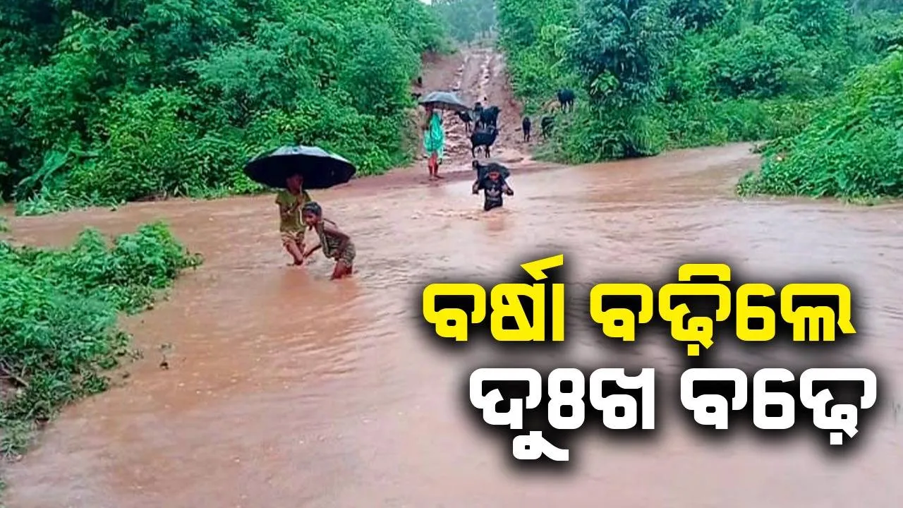  କୁସୁମବାହଲର ଦୁଃଖ: ବର୍ଷା ବଢ଼ିଲେ ଟିପା ନଦୀ ଜଳରେ ବନ୍ଦୀ ହୁଅନ୍ତି ଗ୍ରାମବାସୀ