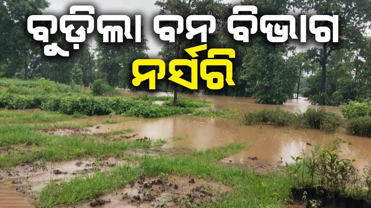  ବାହ୍ୟଜଗତରୁ ବିଛିନ୍ନ କାଲିମେଳା: ପୋଟେରୁ ବଜାର ଭିତରେ ପଶିଲା ବନ୍ୟାଜଳ
