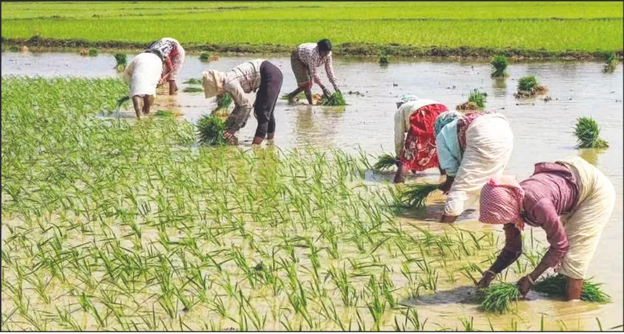  ବଜେଟ୍‌ ୨୦୨୪-୨୫: ପିଏମ୍ କିସାନ ବ୍ୟୟବରାଦ ବଢ଼ିବ!