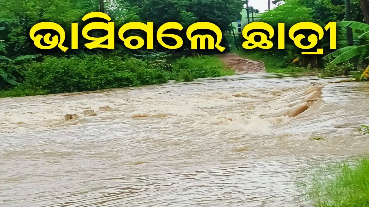  ନାଳରେ ଭାସିଗଲେ ଛାତ୍ରୀ, ଦୀର୍ଘ ସମୟ ହେଲା ମିଳୁନି ପତ୍ତା