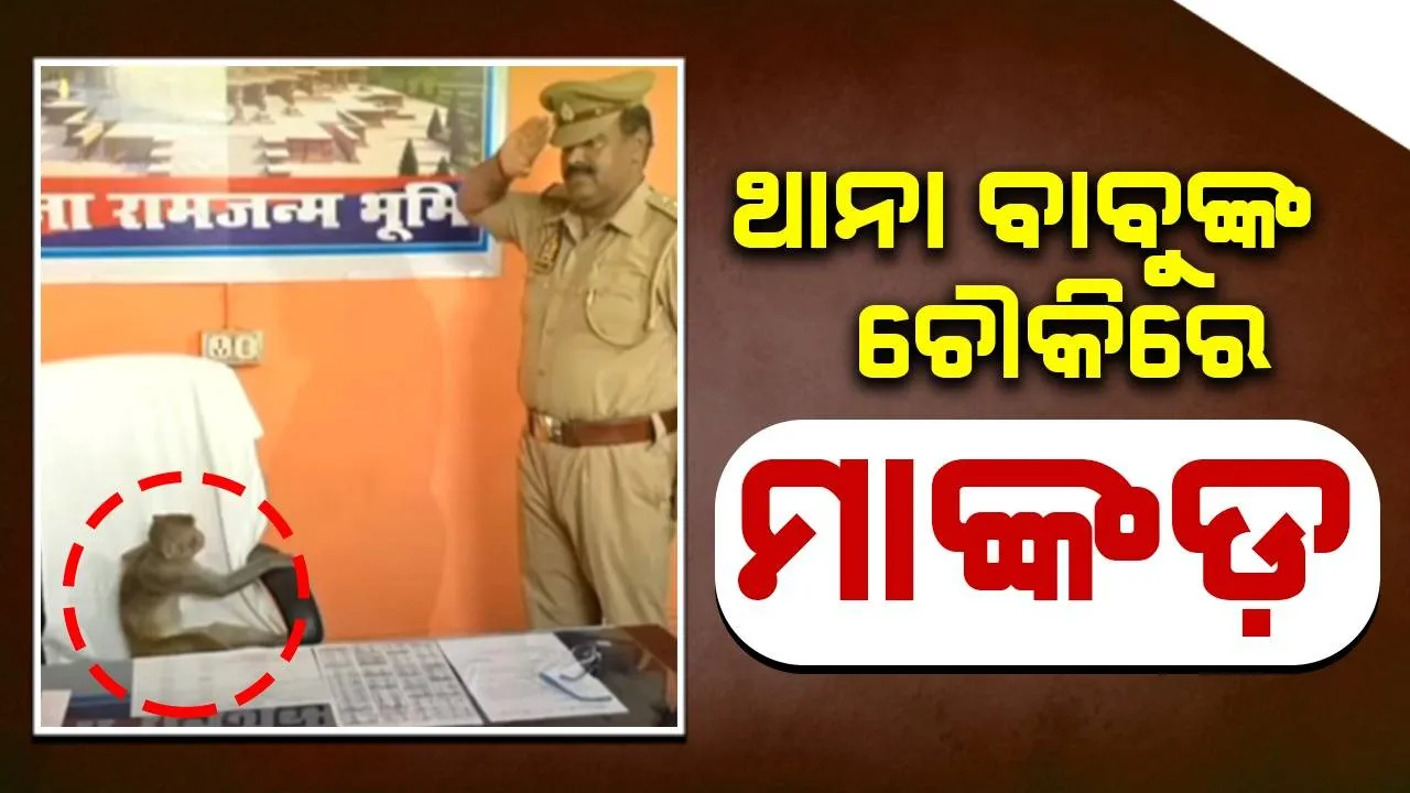  ପୁଲିସ ଷ୍ଟେସନ ଚୌକିରେ ମାଙ୍କଡ଼ ବସିଥିବା ଦେଖି ସ୍ୟାଲୁଟ ମାରିଲେ ସବଇନ୍ସପେକ୍ଟର