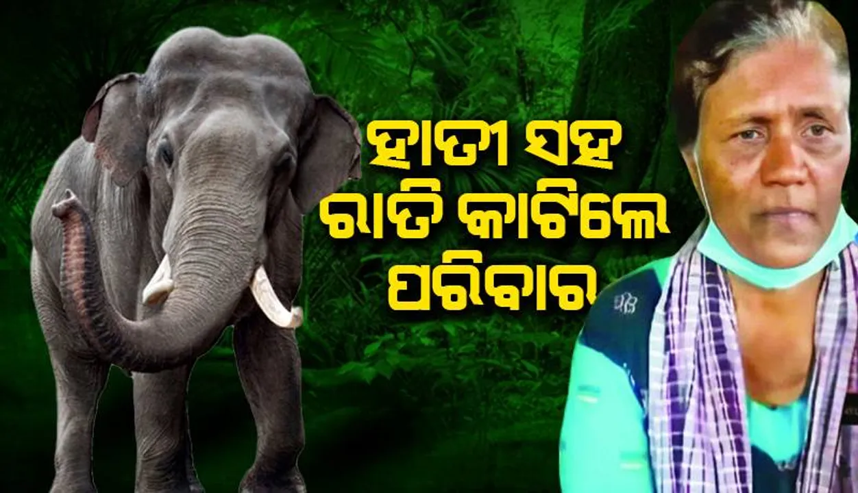  ହାତୀ ସହ ରାତି କାଟିଲେ ପରିବାର