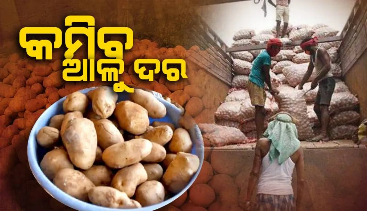  କମିବ ଆଳୁ ଦର: ପଶ୍ଚିମବଙ୍ଗରୁ ଆସିଲା ୫ ଟ୍ରକ୍, ଉତ୍ତରପ୍ରଦେଶ ଟ୍ରକ୍‌କୁ ଅପେକ୍ଷା