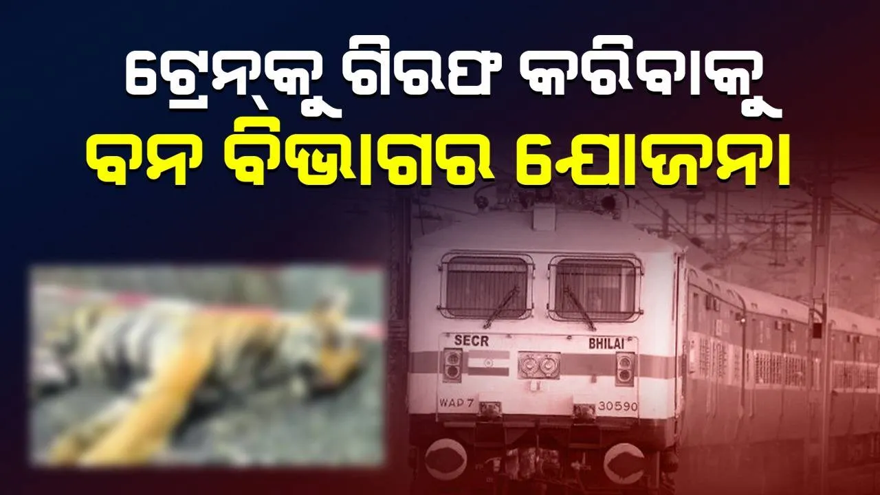  ଟ୍ରେନ୍‌ ହେବ ଗିରଫ!: ଧକ୍କା କରି ୩ ବାଘ ଶାବକଙ୍କୁ ମାରିଥିବା ଅଭିଯୋଗ