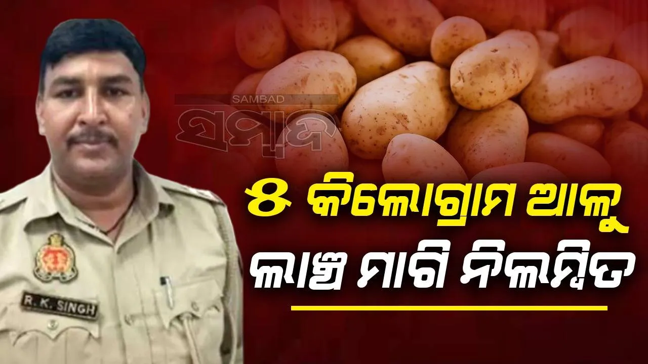  ୫ କିଲୋଗ୍ରାମ ଆଳୁ ଲାଞ୍ଚ ମାଗିଲେ ପୁଲିସ୍ ସବ୍-ଇନସ୍ପେକ୍ଟର: ଅଡିଓ ଭାଇରାଲ୍ ହେବା ପରେ ନିଲମ୍ବିତ...