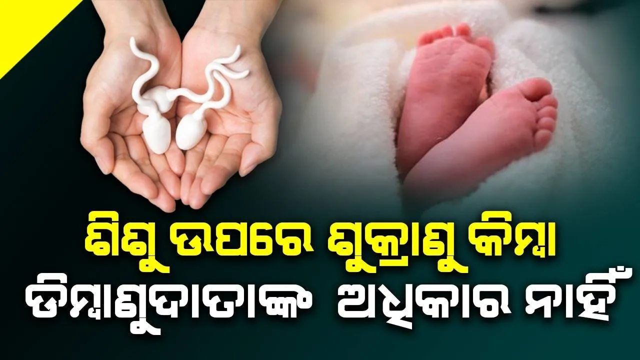  ଶିଶୁ ଉପରେ ଶୁକ୍ରାଣୁ କିମ୍ବା ଡିମ୍ବାଣୁଦାତାଙ୍କ ଅଧିକାର ନାହିଁ : ବମ୍ବେ ହାଇକୋର୍ଟ