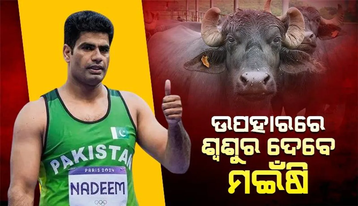  ଅଲିମ୍ପିକ୍ସରେ ସ୍ୱର୍ଣ୍ଣ ଜିତିବା ପରେ ଏହି କାରଣରୁ ଅର୍ଶଦଙ୍କୁ ମଇଁଷି ଉପହାରରେ ଦେବେ ଶ୍ବଶୁର