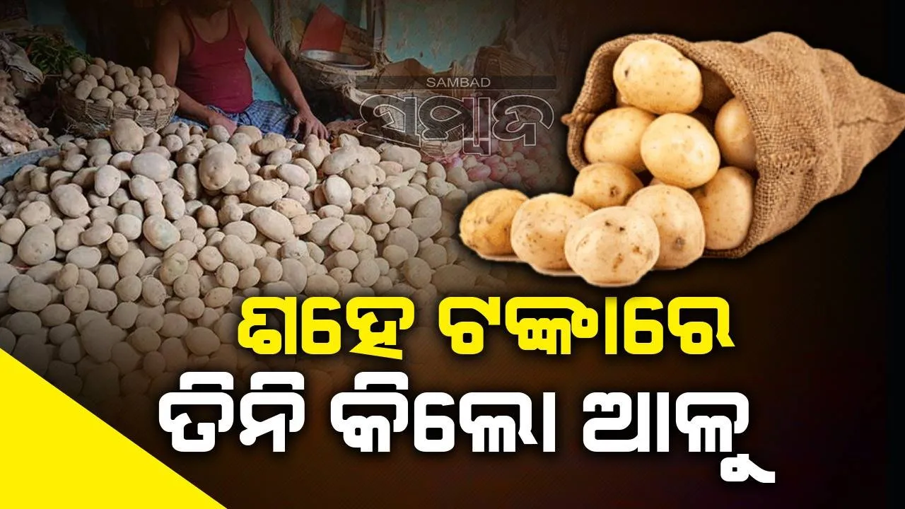  ଖାଉଟିଙ୍କ ପାଇଁ ଭଲ ଖବର: ୧୦୦ ଟଙ୍କାରେ ୩ କିଲୋ ଆଳୁ ପାଇବେ ଗ୍ରାହକ