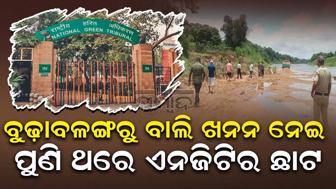  ଜିଲ୍ଲା ସର୍ଭେ ରିପୋର୍ଟକୁ ଭୁଲ ଦର୍ଶାଇ ଖଣିଜ ଦ୍ରବ୍ୟ ଉତ୍ତୋଳନ ଉପରେ ରୋକ ଲଗାଇଲେ ଏନ୍‌ଜିଟି