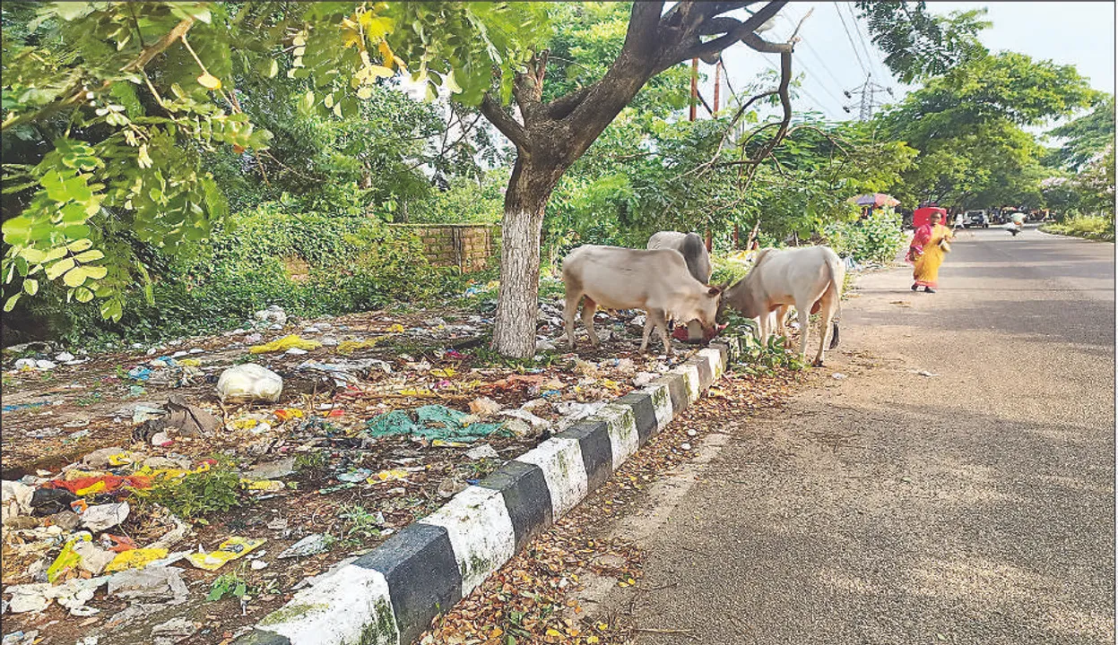  ଏମ୍‌ସ ରାସ୍ତାରେ ଆବର୍ଜନା ଯନ୍ତ୍ରଣା: ସୀମା ବିବାଦରୁ ସଫେଇ ଠପ୍‌