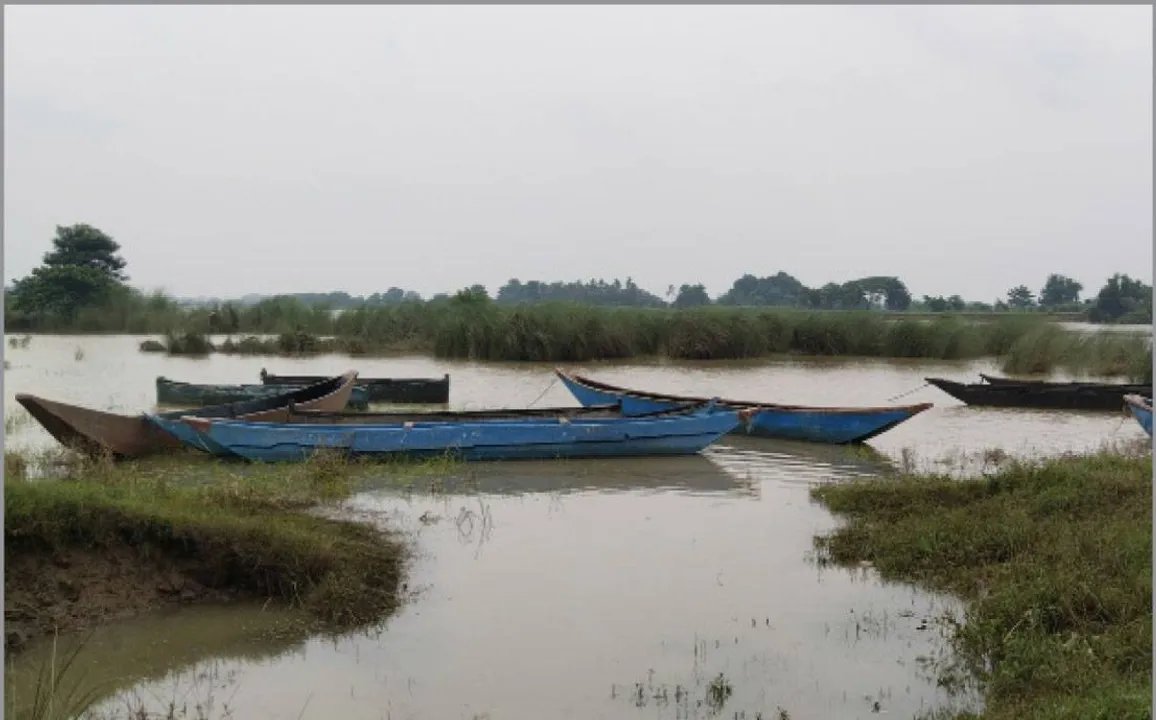  ମହାନଦୀ ଇଲିସି ଏବେ ସାତସପନ: ନଈ, ସମୁଦ୍ର ପ୍ରଦୂଷଣ ମତ୍ସ୍ୟଜୀବୀଙ୍କ ପାଇଁ କାଳ