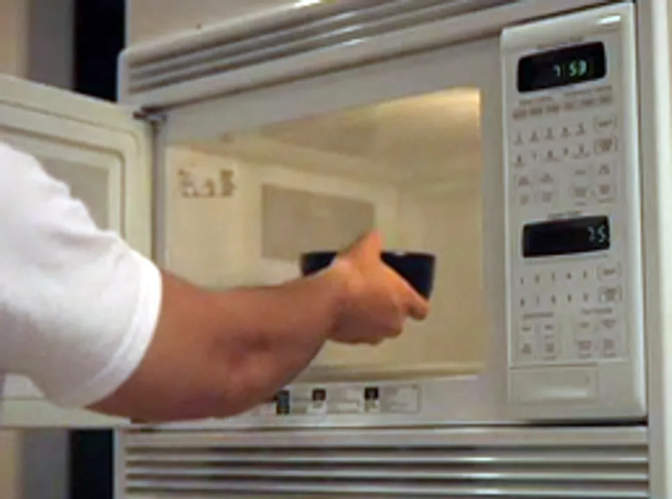 joys of baking in convection oven