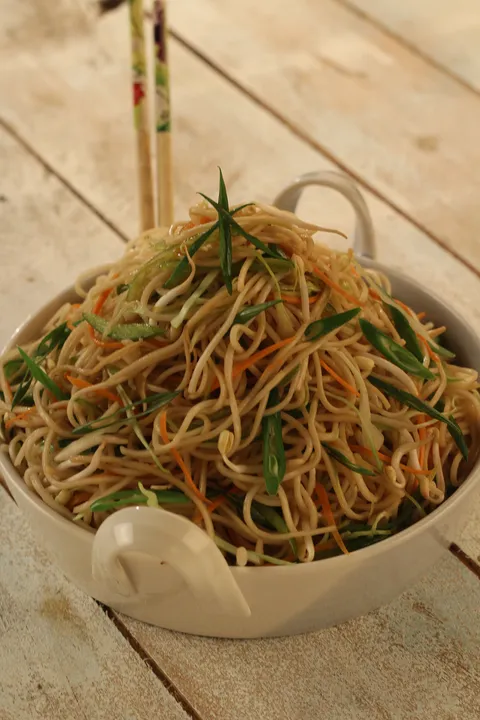 Perfect Hakka Noodles 1 - Chinese Book