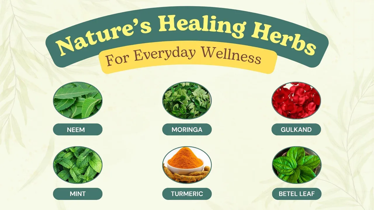Flavorful Ways to Infuse Medicinal Plants into Everyday Recipes