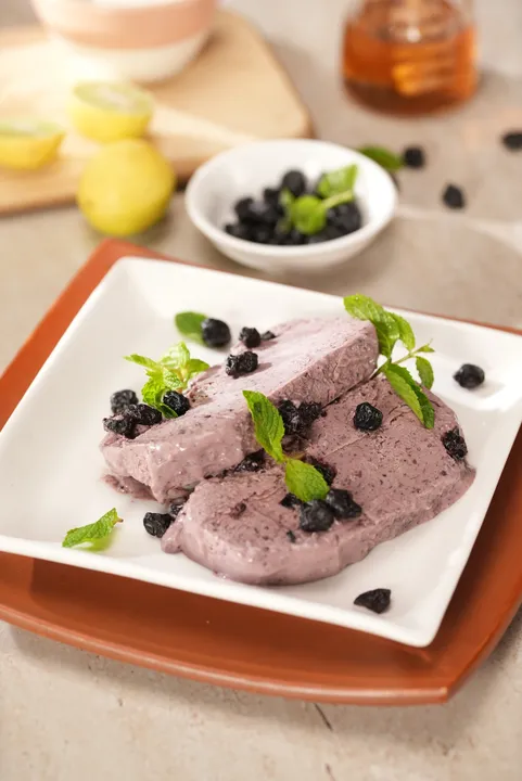 Blueberry Frozen Yogurt 1 - YT