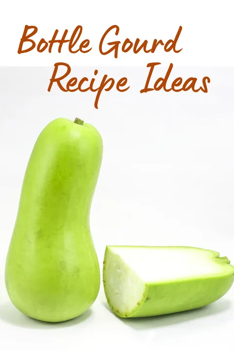 Orange Modern Dinner Recipes Idea Pinterest Pin  (2)