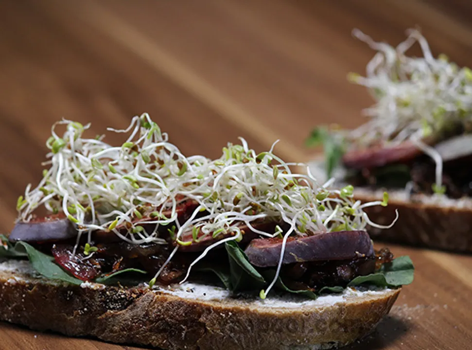 Caramalized Onion and Fig Open Sandwich