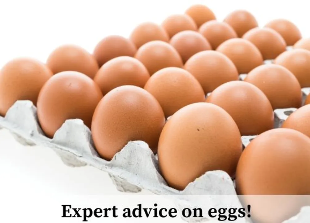 Expert advice on eggs