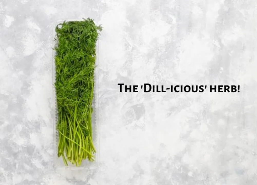 Dill maange more
