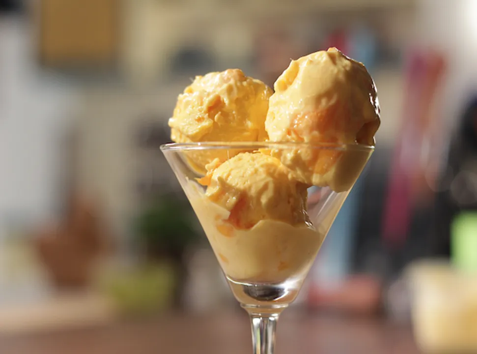 Mango Yogurt Icecream