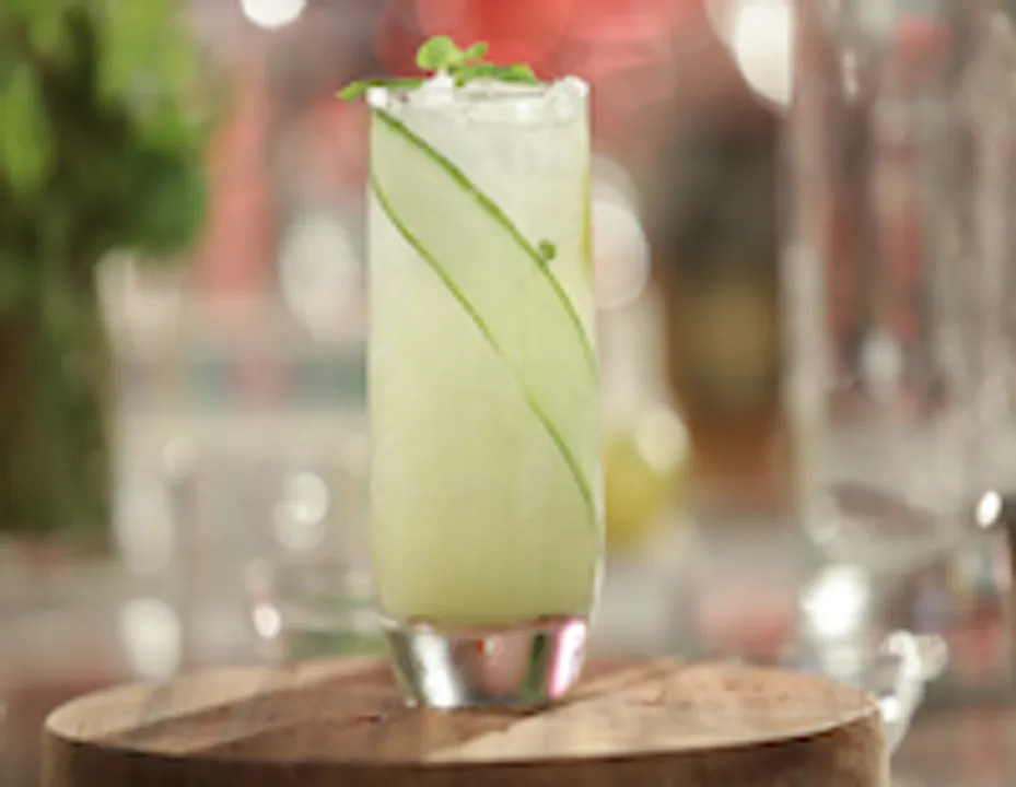 CUCUMBER VODKA REFRESHER - skk