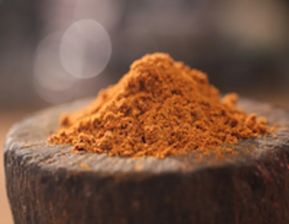 KEBAB SPRINKLER - skk