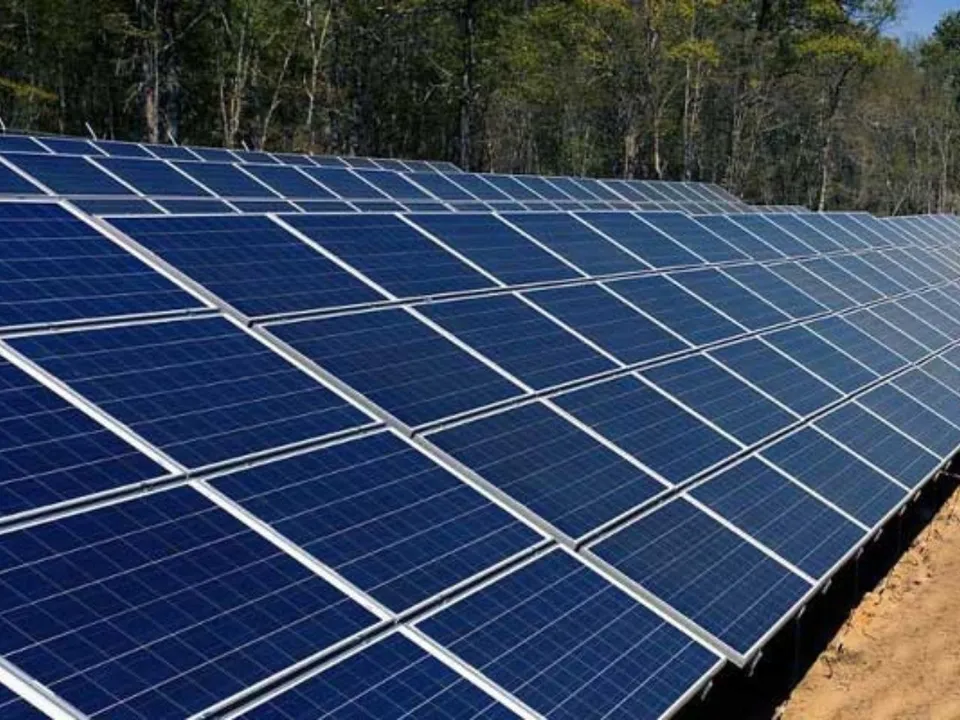 Waaree Renewable Technologies Eyes Record-Breaking Financial Year