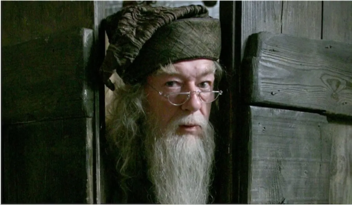 Dumbledore Michael Gambon dies at 82