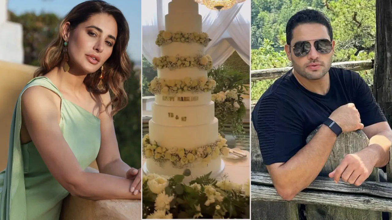 Who is Tony Beig Nargis Fakhri Husband
