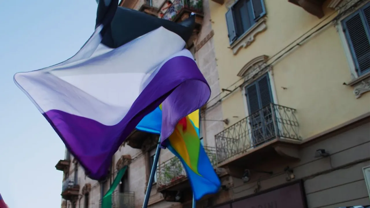 asexuality dissent dispatch