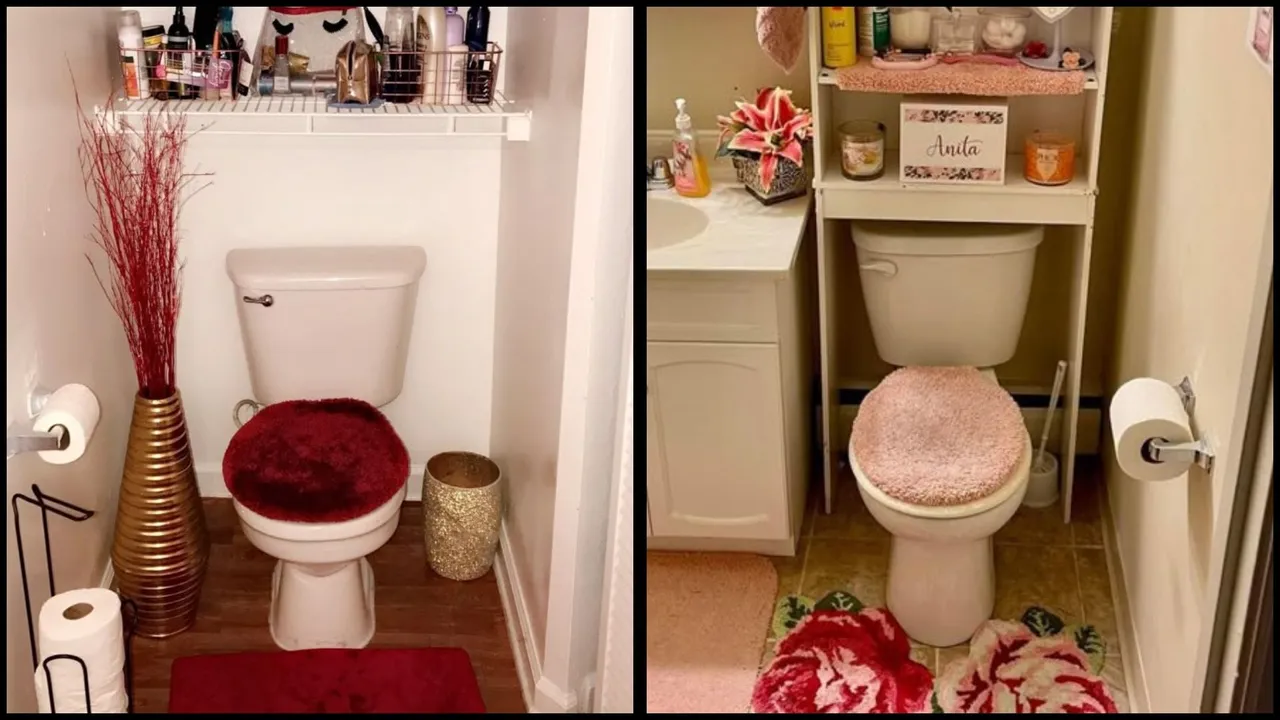 Toilet Decoration Trend