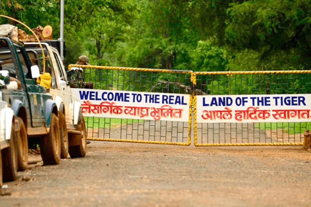 Tiger Reserve