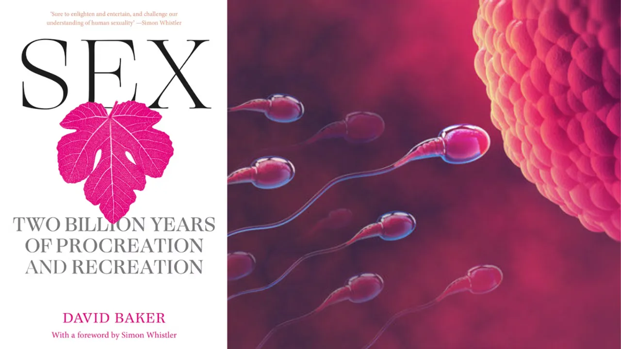 david baker book review