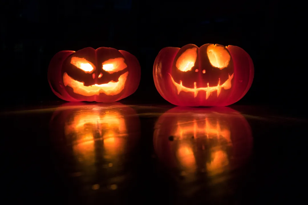 halloween pumpkin david menidrey