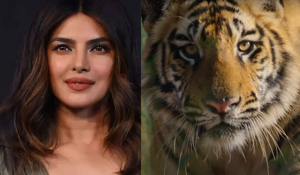 Priyanka Chopra Disney Nature documentary film Tiger