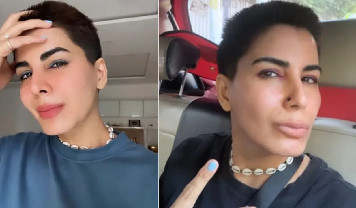 Kriti Kulhari New Hairstyle