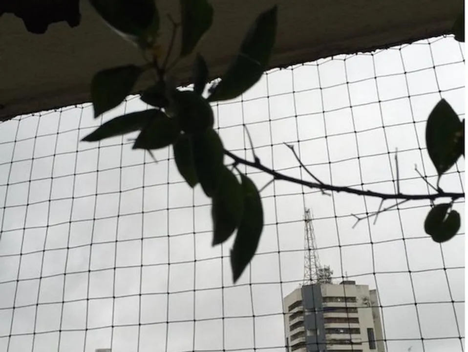 Mumbai Rains in Pictures