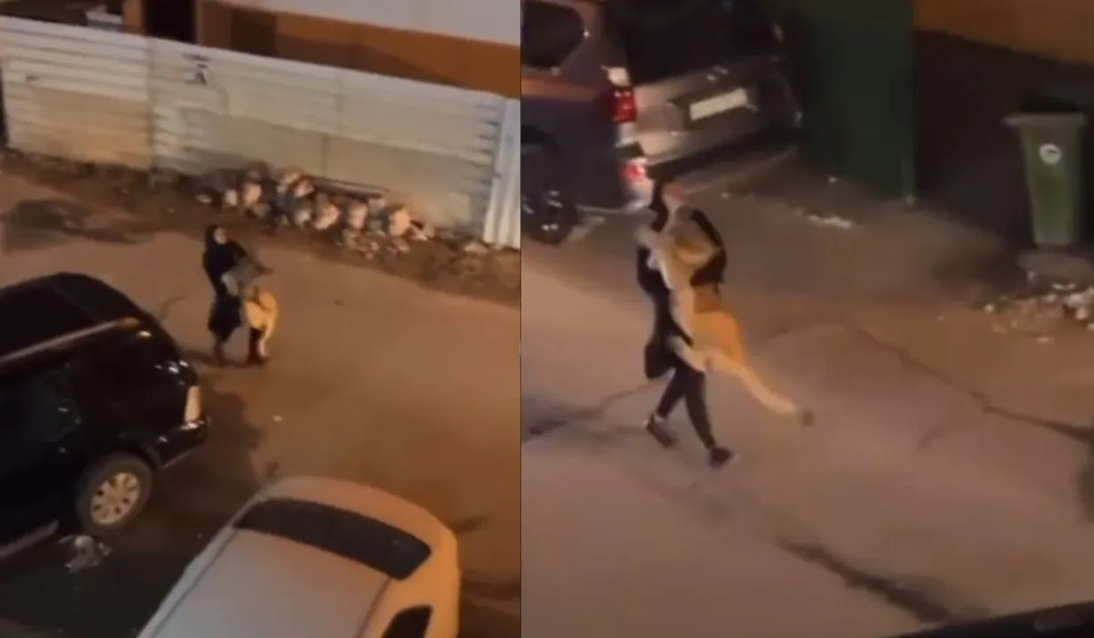 Woman Catches Fleeing Lioness In Her Arms In Kuwait