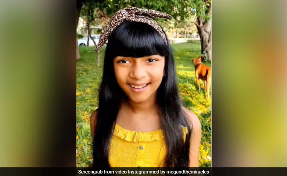 Who Is Megan Rakesh ,Meghan Rakesh