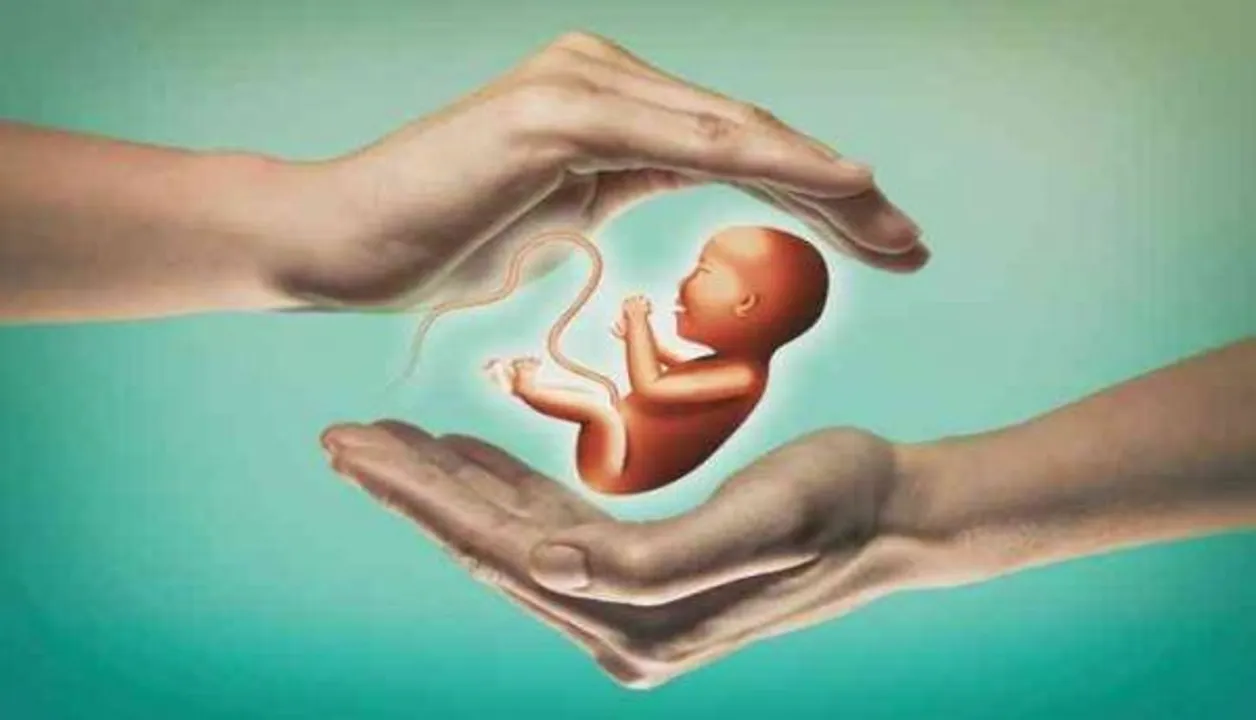Commercial Surrogacy