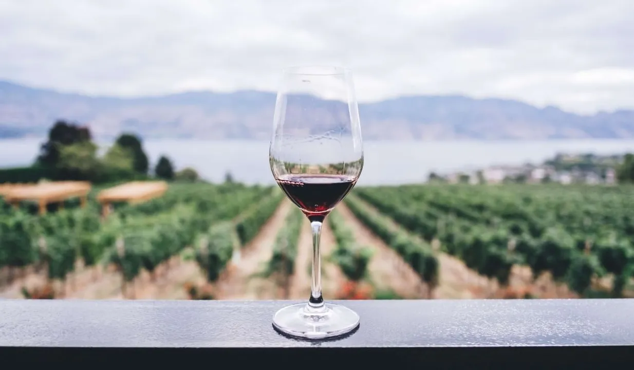wine tasting, natural wines,