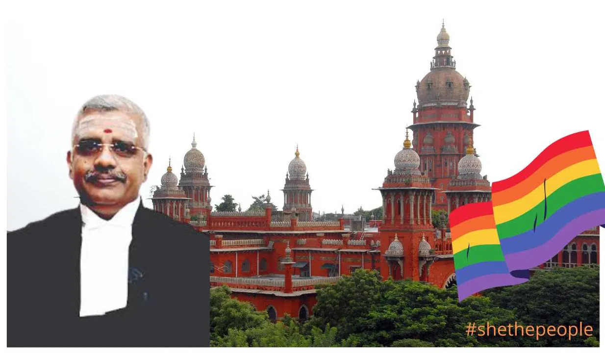 madras hc on lgbtqia